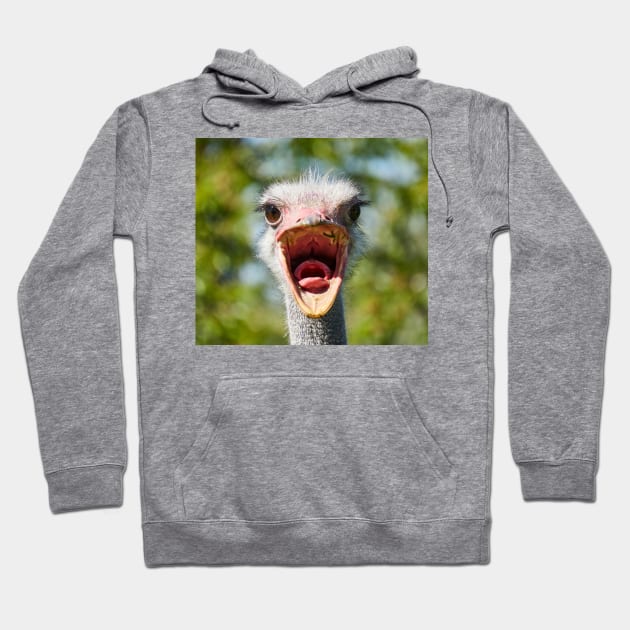 Ostrich Hoodie by BrokenTrophies